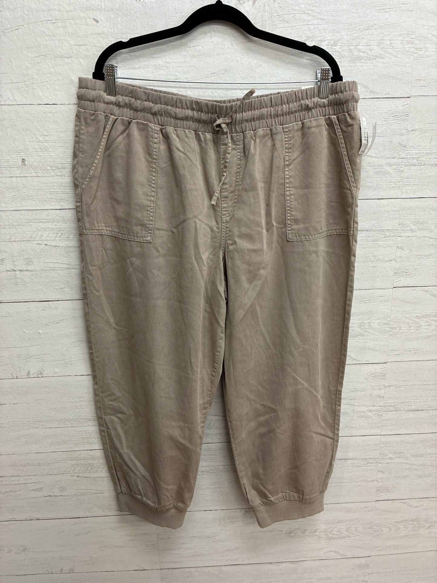 Size XL Maurices Tan Womens Pants