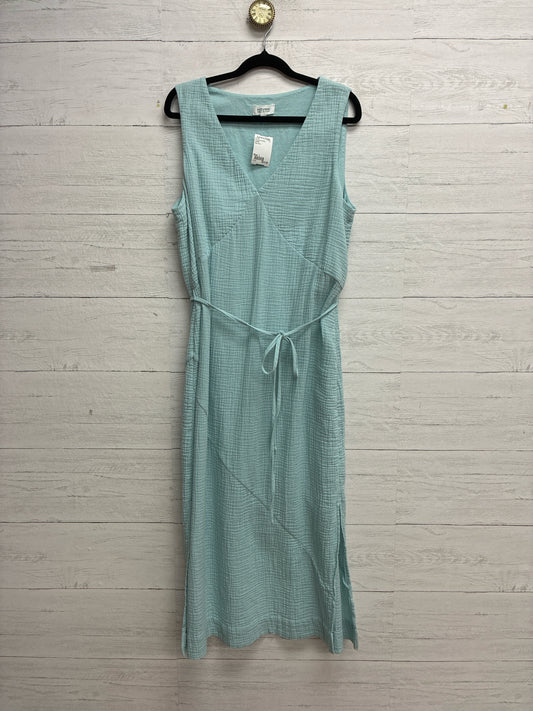 Size L HAVEN Baby Blue Dress/Evening Wear