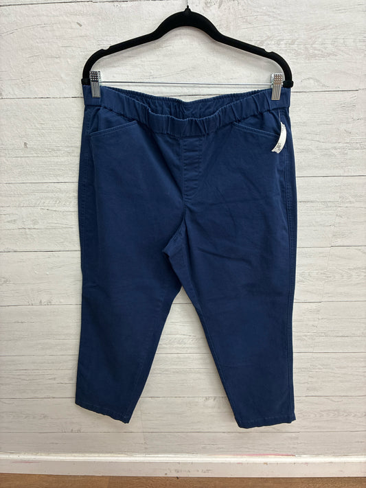 Size 14 lands end Navy Womens Capri