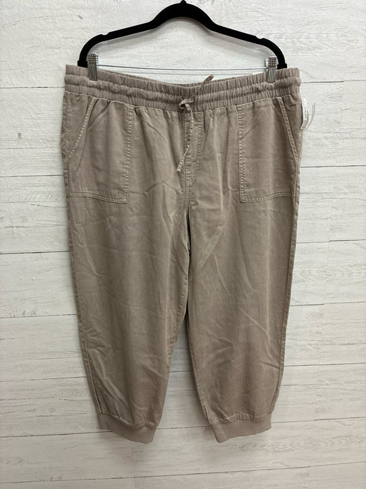 Size XL Maurices Tan Womens Pants
