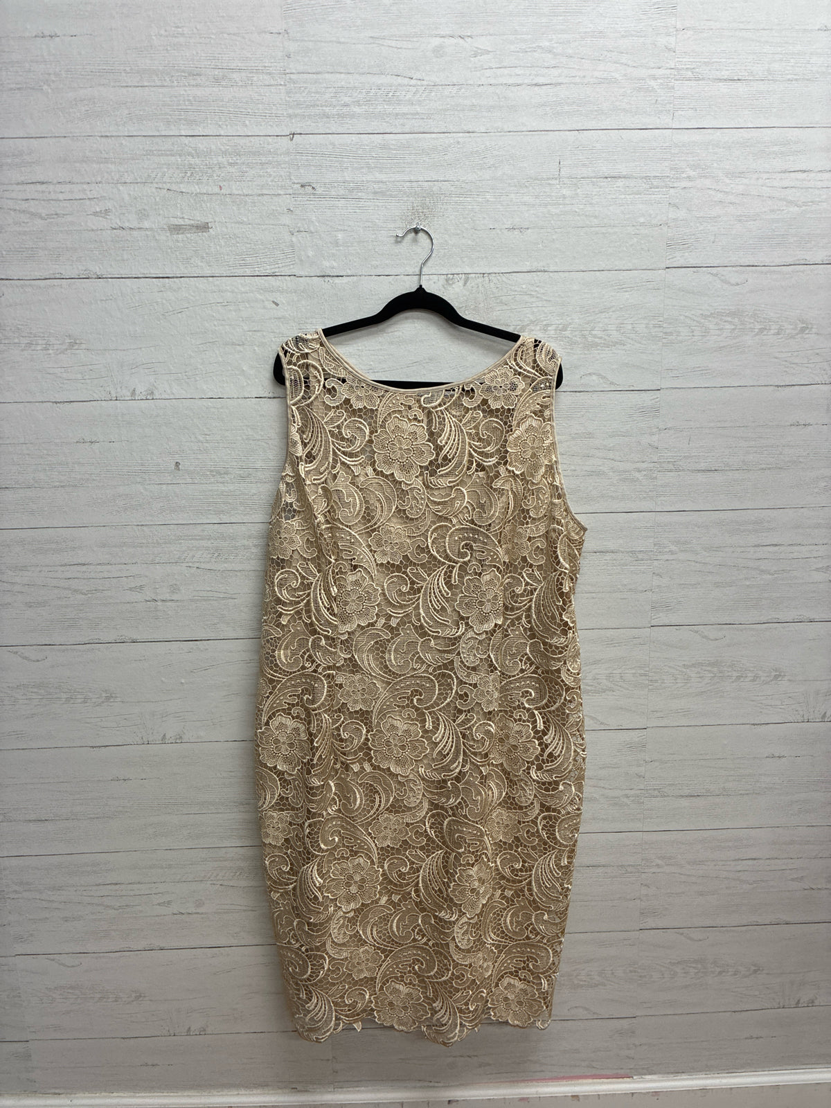 Size 18W Adrian Papell Beige Dress/Evening Wear