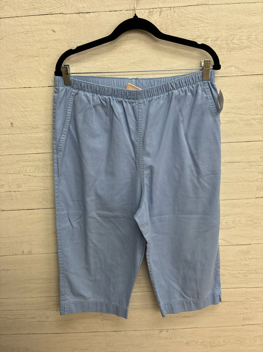 Size L Coral Bay Blue Womens Pants