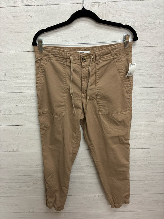 Size M Sonoma Brown Womens Pants