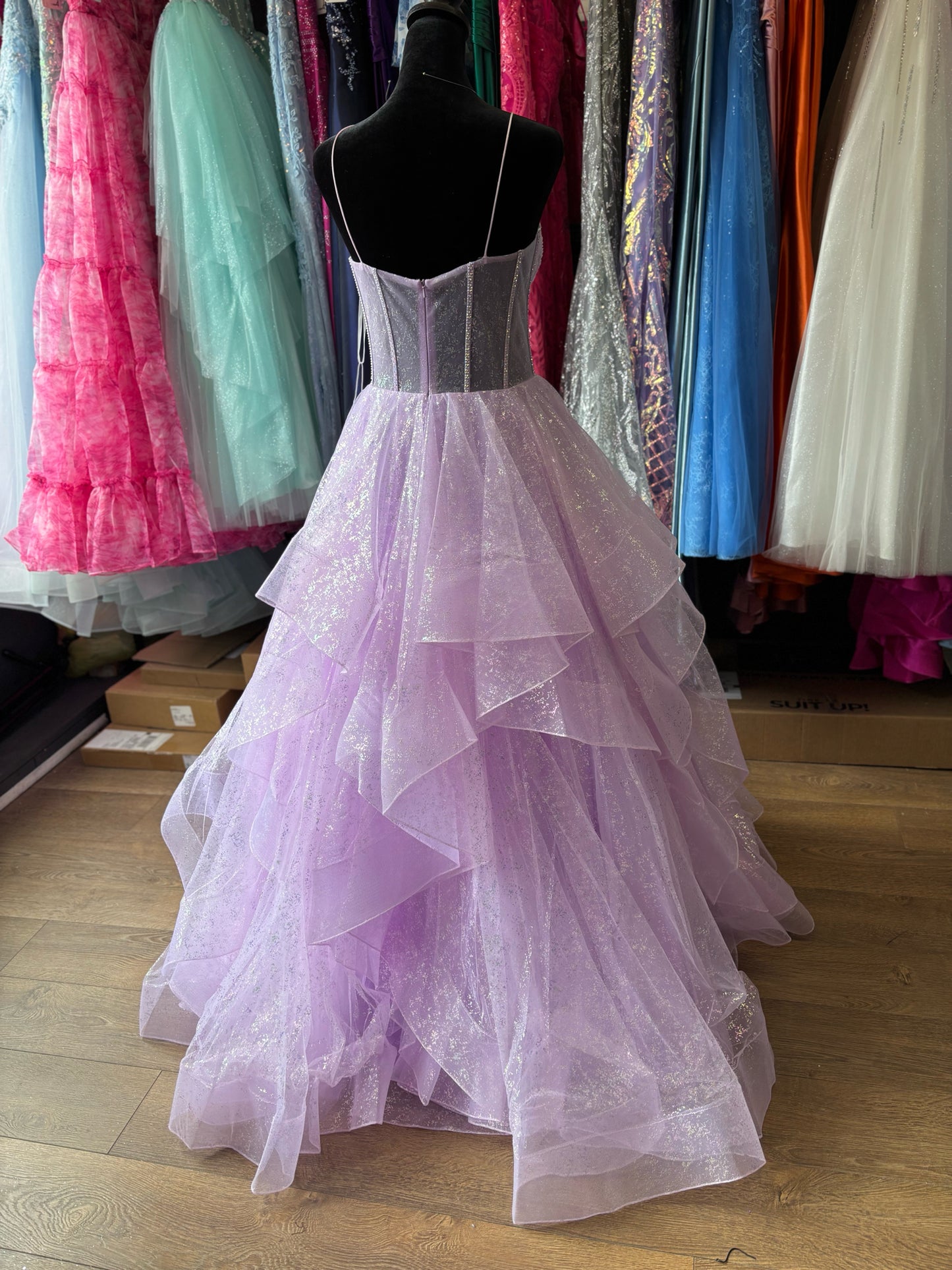 Size 10 Emmi's Elegance Lilac GOWN