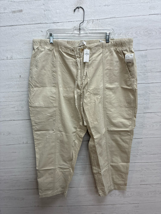 Size XXL Banana Republic Khaki Womens Pants