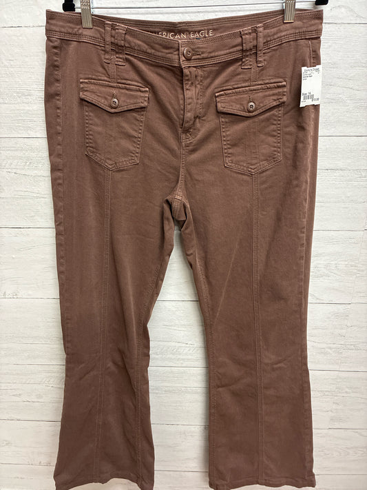 Size 14 American Eagle Brown Womens Jeans
