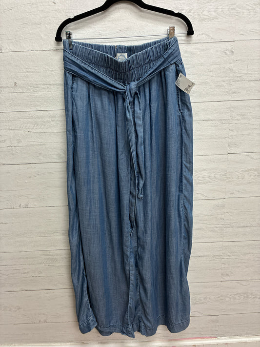 Size L Blue Rain Blue Womens Pants